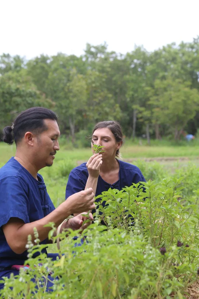 Thai herbs & indigo tie-dye / สมุนไพรและย้อมคราม