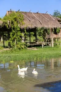 Farm moments 9 / บรรยากาศฟาร์ม 9