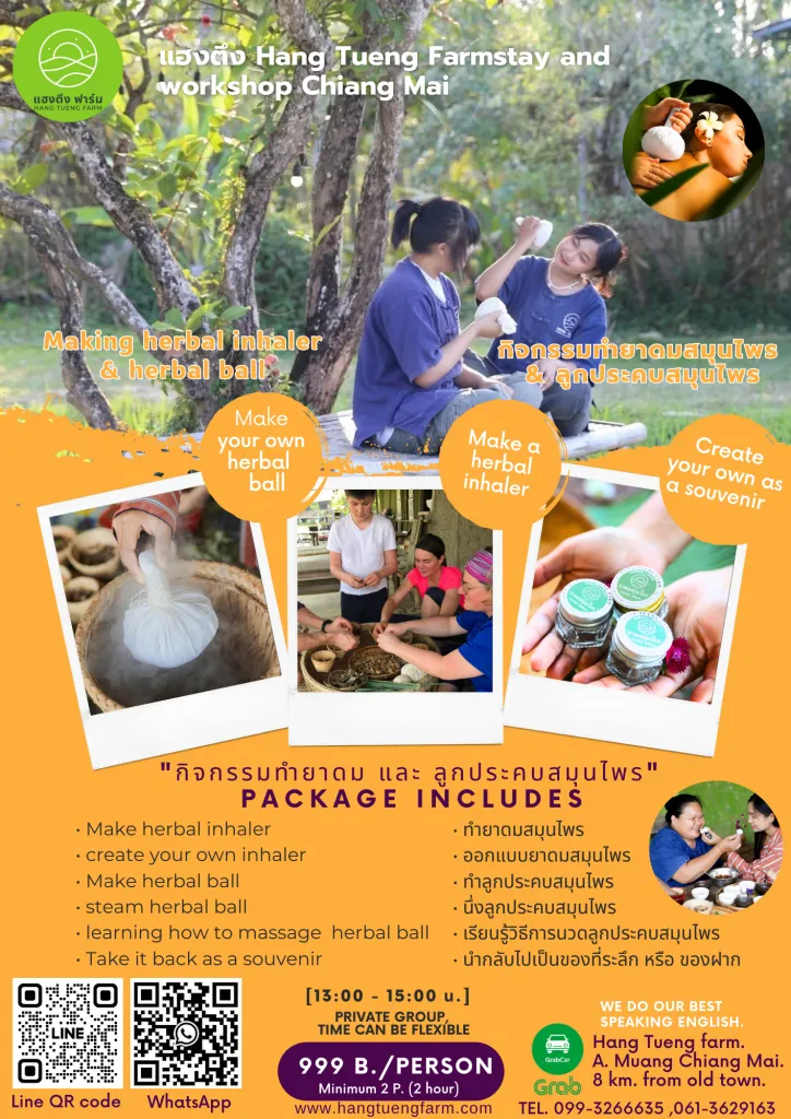Chiang Mai day trips / ทริปเที่ยวเชียงใหม่