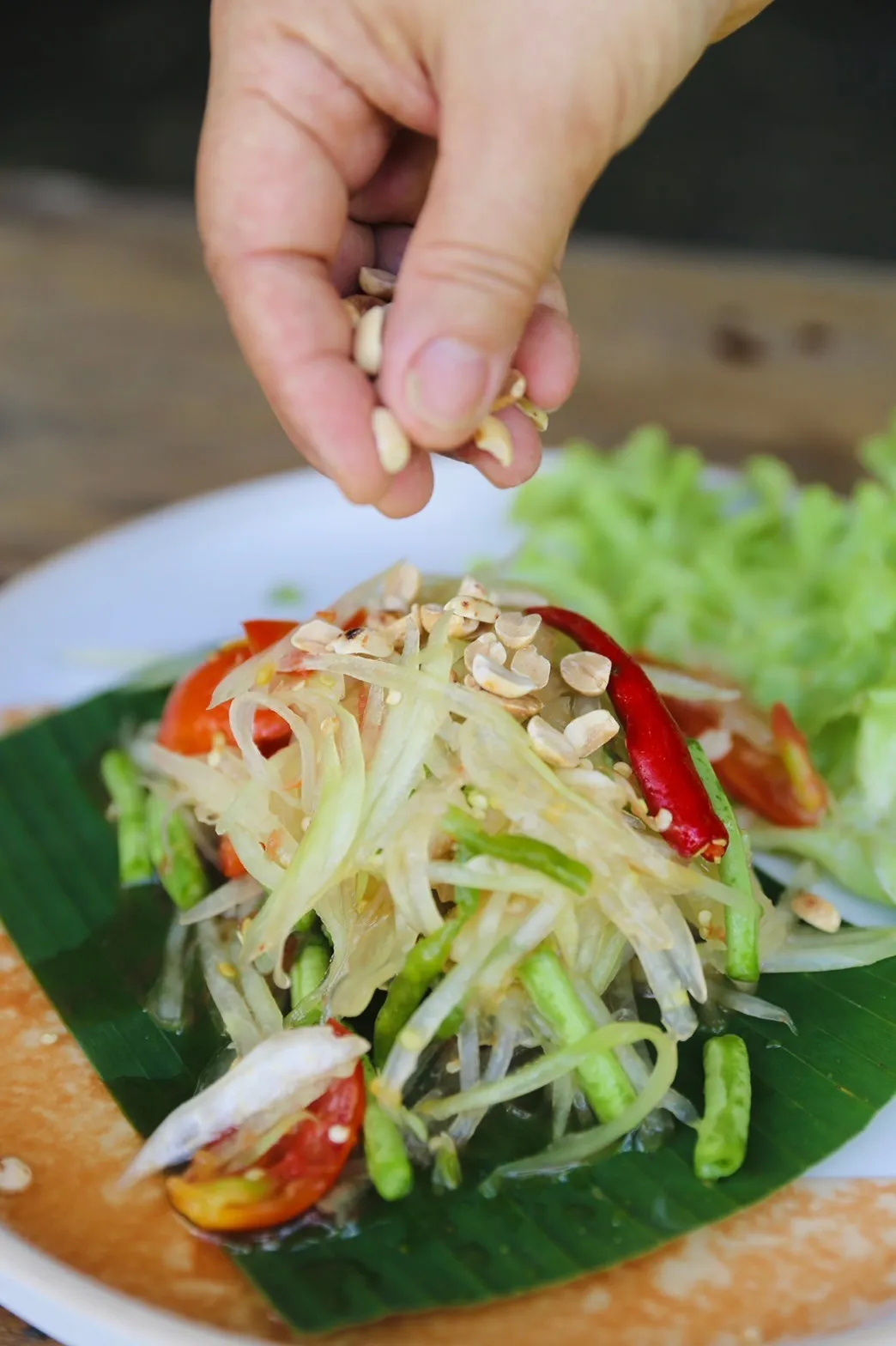 Thai farm cooking class / ทำอาหารที่ฟาร์ม