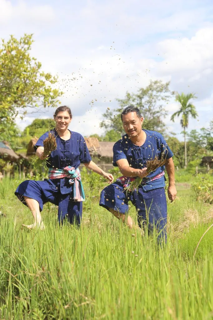 Rice planting & buffalo bathing / ดำนาและอาบน้ำควาย