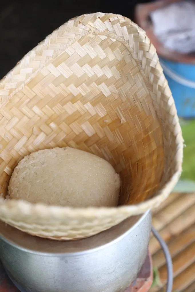 Thai farm cooking class / ทำอาหารที่ฟาร์ม