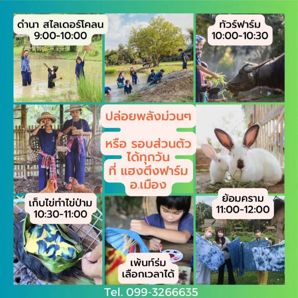 Private kids’ activities / กิจกรรมเด็กแบบส่วนตัว