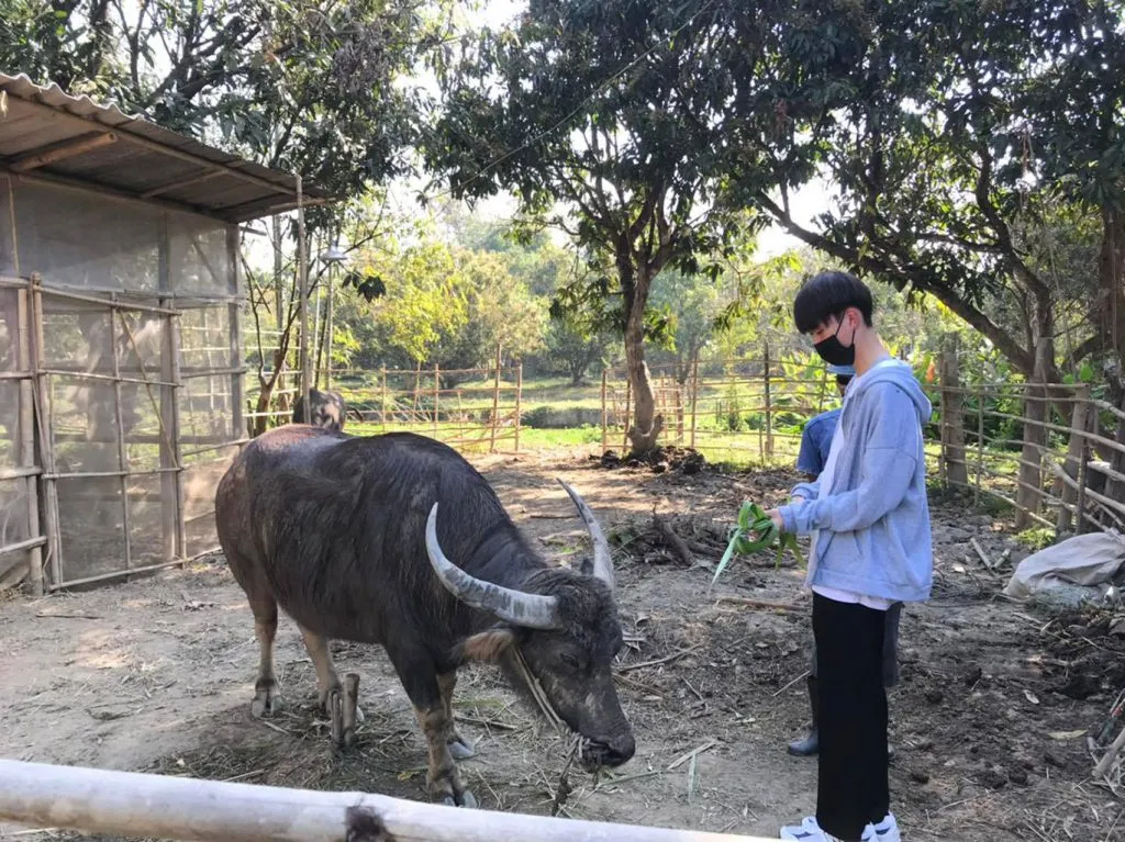 School field trips / ทัศนศึกษาโรงเรียน