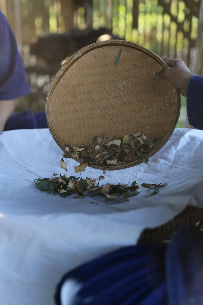 Thai herbs & indigo tie-dye / สมุนไพรและย้อมคราม