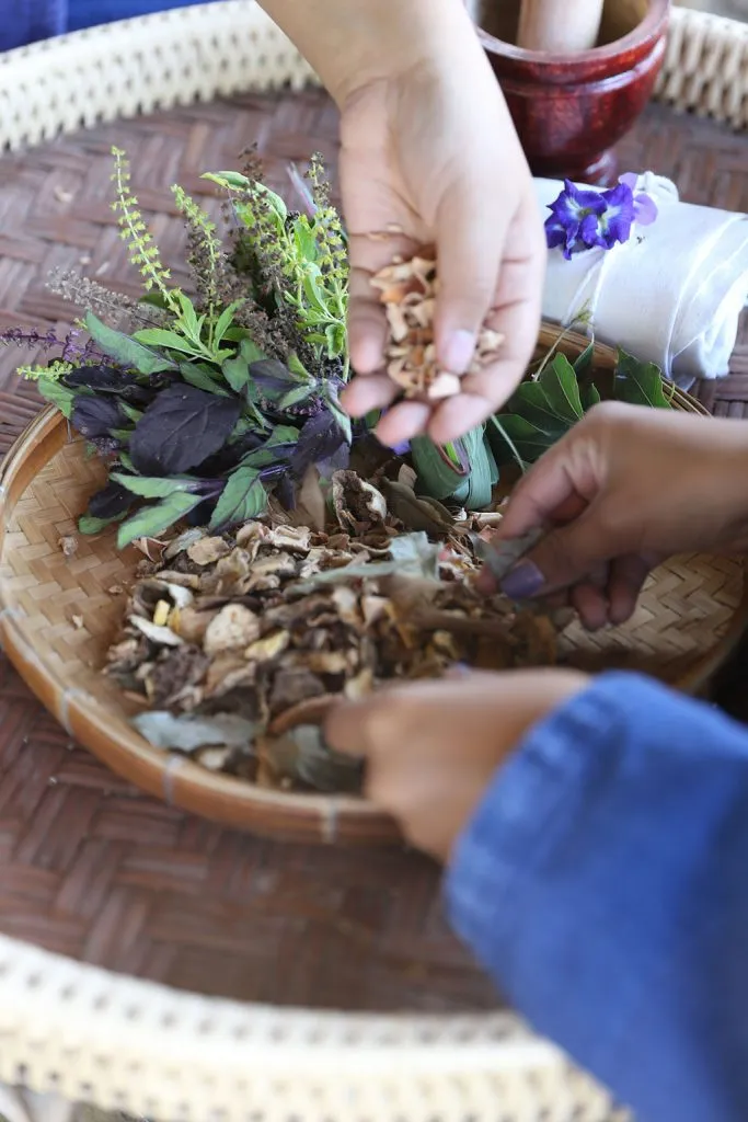 Thai herbs & indigo tie-dye / สมุนไพรและย้อมคราม