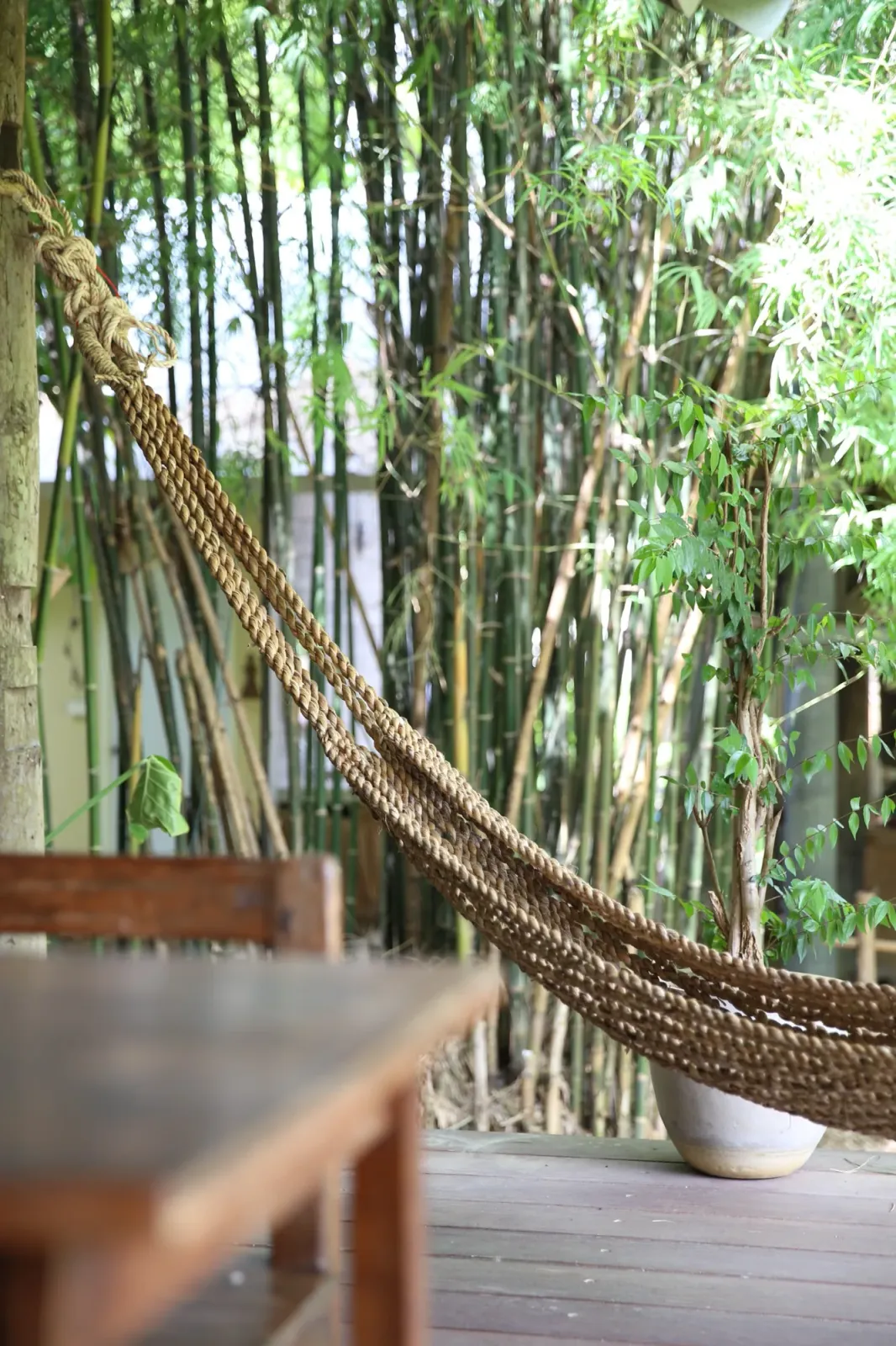 Ha Ni Ba Hoei House / บ้านฮานิบะเฮ้ย