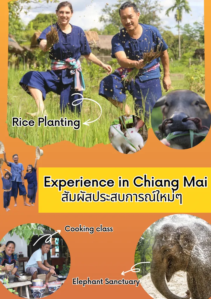 Chiang Mai day trips / ทริปเที่ยวเชียงใหม่