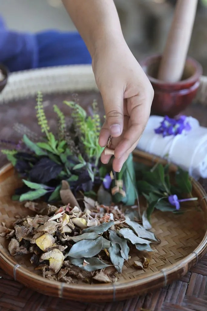 Thai herbs & indigo tie-dye / สมุนไพรและย้อมคราม