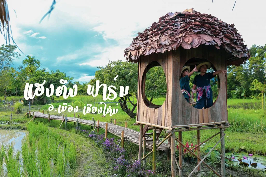 Private kids’ activities / กิจกรรมเด็กแบบส่วนตัว