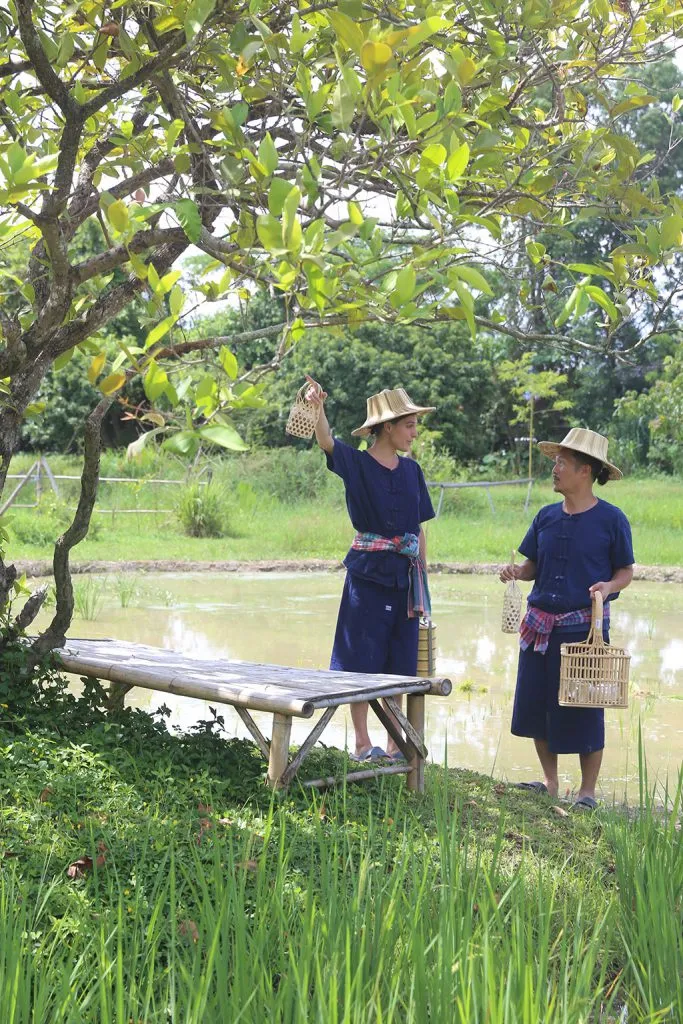 Thai herbs & indigo tie-dye / สมุนไพรและย้อมคราม