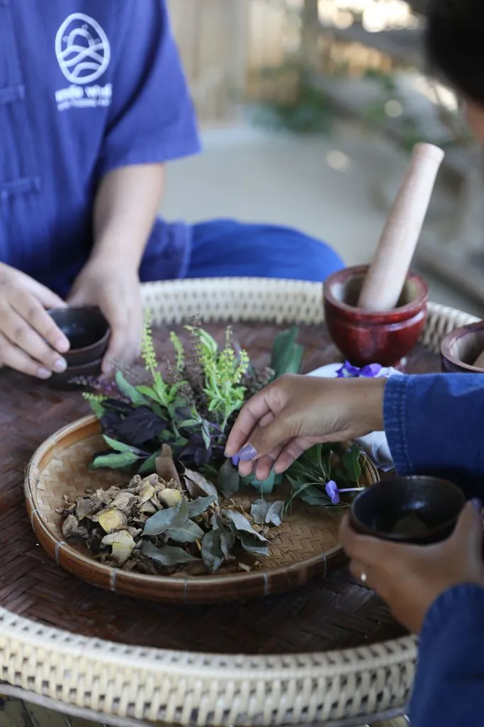 Thai herbs & indigo tie-dye / สมุนไพรและย้อมคราม