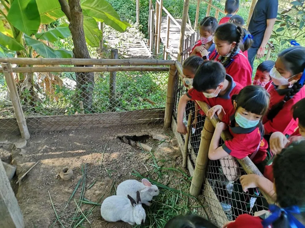 School field trips / ทัศนศึกษาโรงเรียน