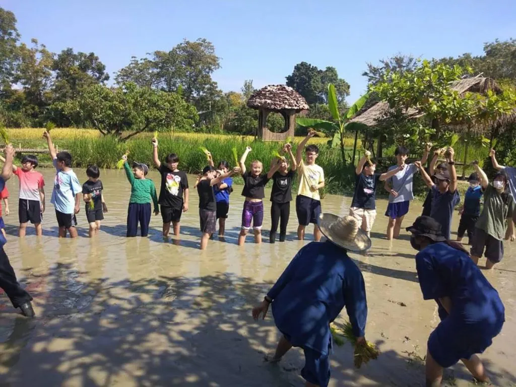 School field trips / ทัศนศึกษาโรงเรียน