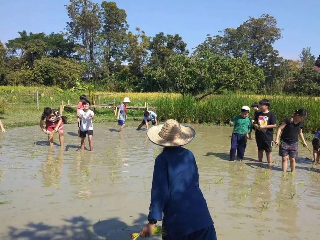 School field trips / ทัศนศึกษาโรงเรียน