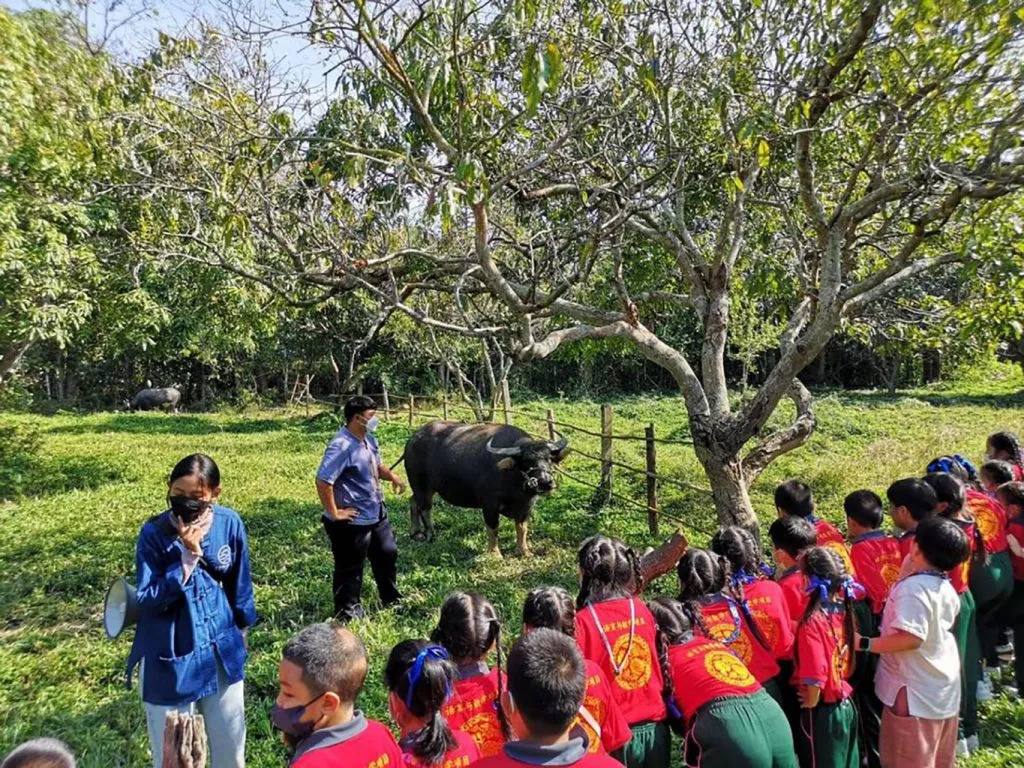 School field trips / ทัศนศึกษาโรงเรียน